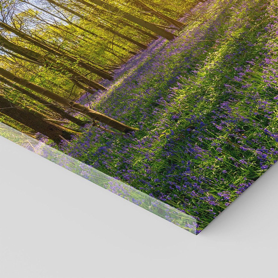 Obraz na płótnie - las, kwiaty, słońce