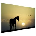 Obraz na płótnie - koń, zachód słońca, ptaki