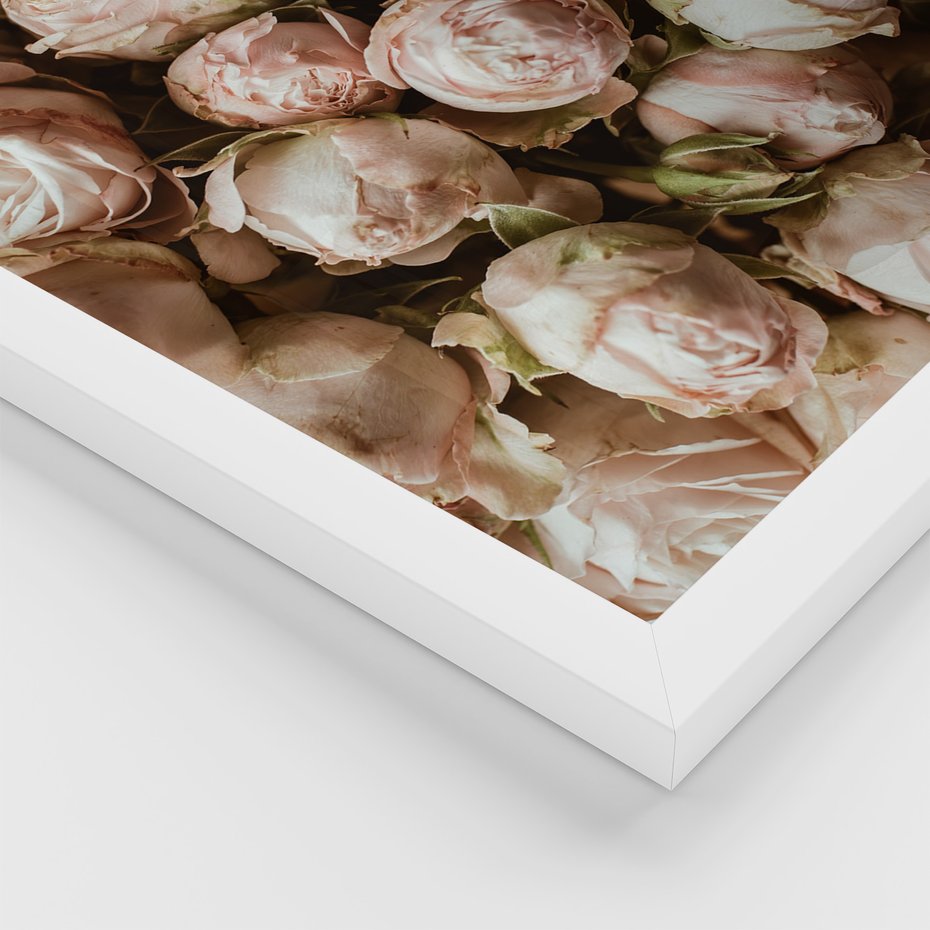 Zestaw obrazy w ramie, plakaty - róże, wino, pościel - rama biała