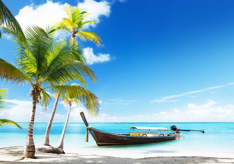 Fototapeta - plaża, palmy, łódź