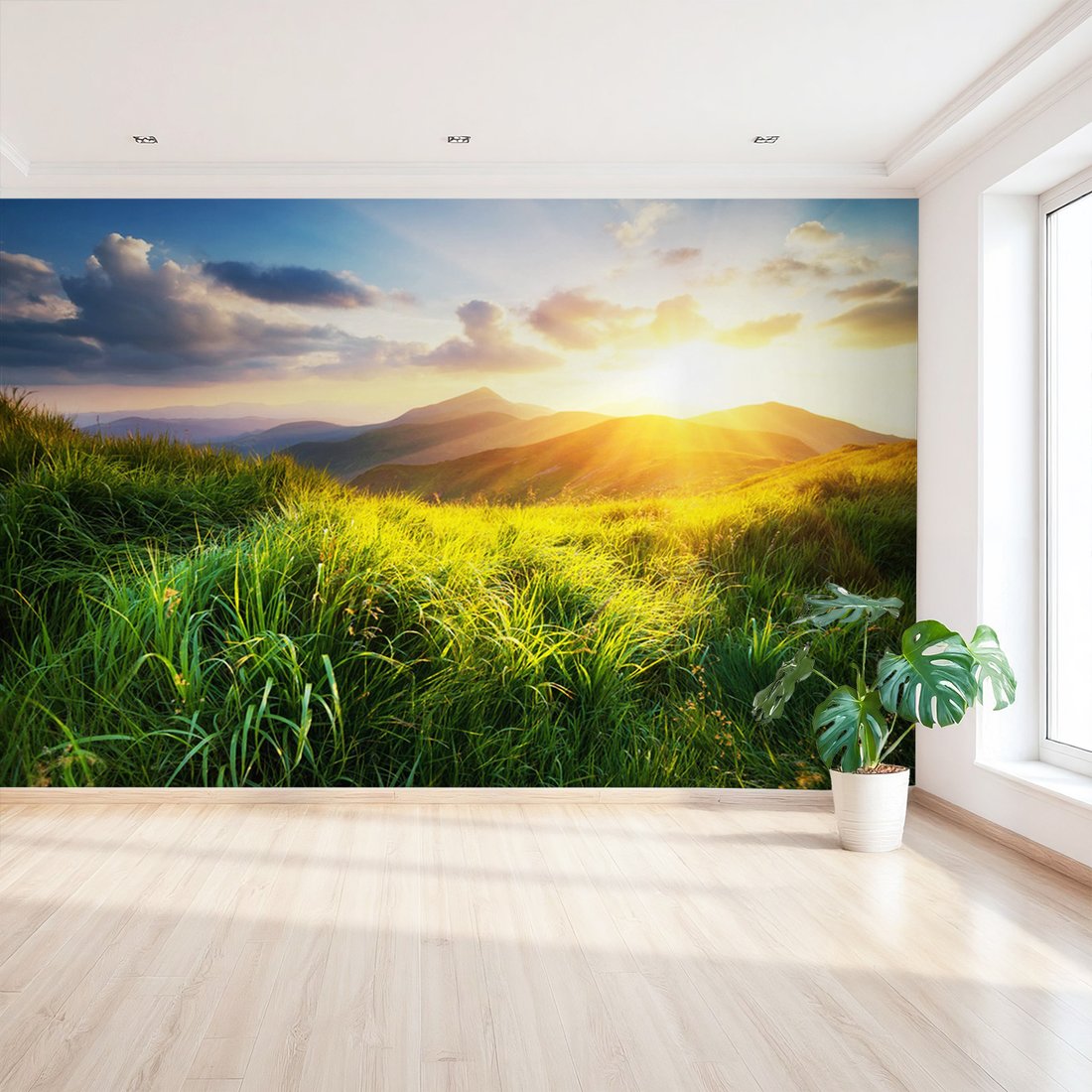 Fototapeta - góry, trawa, słońce