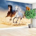 Fototapeta - konie, galop, pustynia