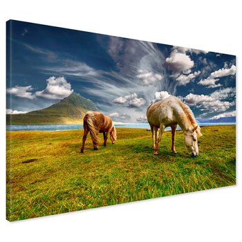 Obraz na płótnie - konie, natura, góry