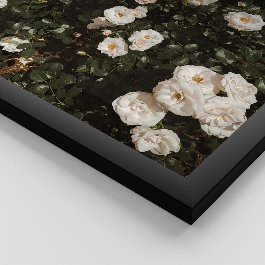 Zestaw obrazy w ramie, plakaty - kwiaty, rośliny, natura - rama czarna