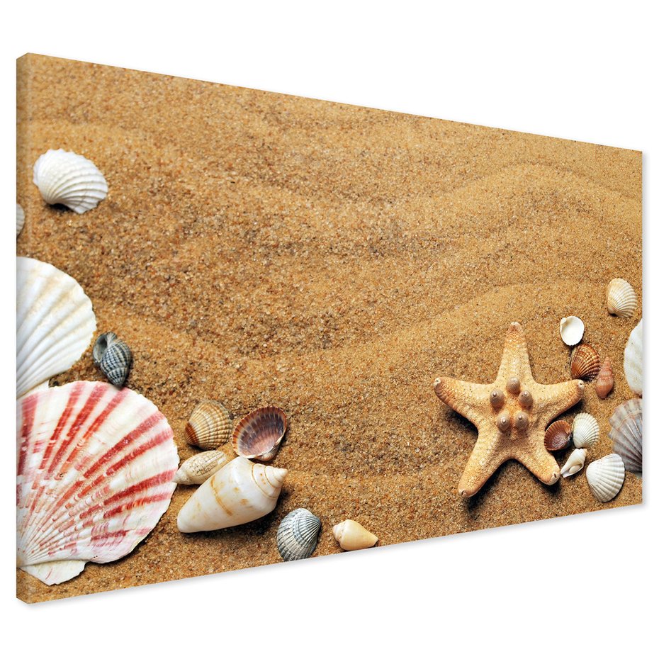Obraz na płótnie - piasek, muszle, rozgwiazda