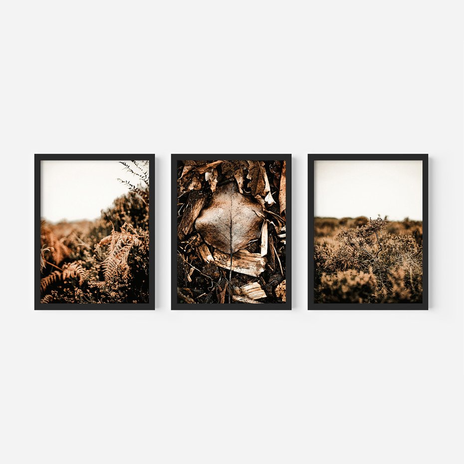 Zestaw obrazy w ramie, plakaty - liście, roślinność, brązowy - rama czarna