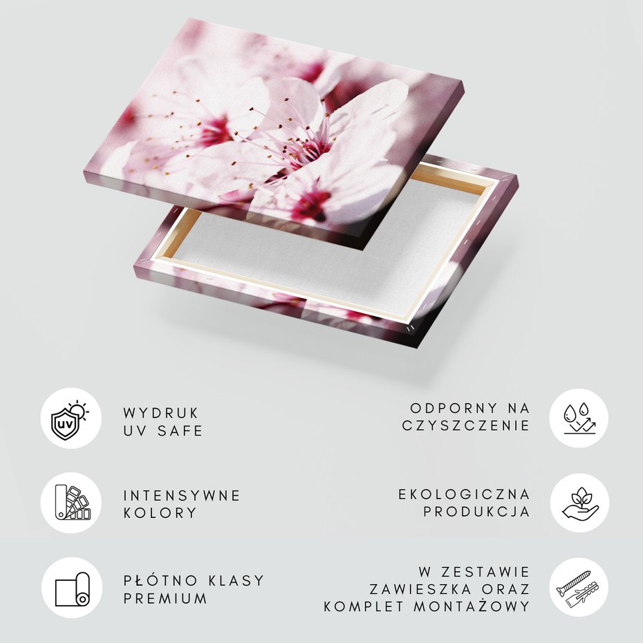 Obraz na płótnie - kwiat, wiosna, delikatność