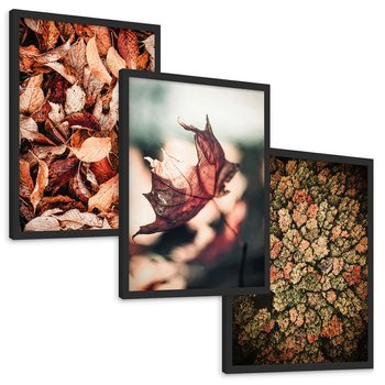 Zestaw obrazy w ramie, plakaty - liście,jesień,drzewa - rama czarna