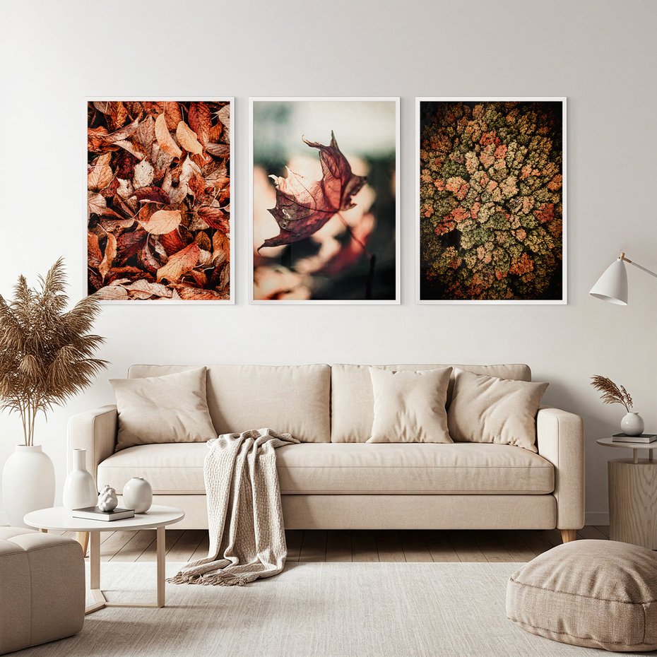 Zestaw obrazy w ramie, plakaty - liście,jesień,drzewa - rama biała