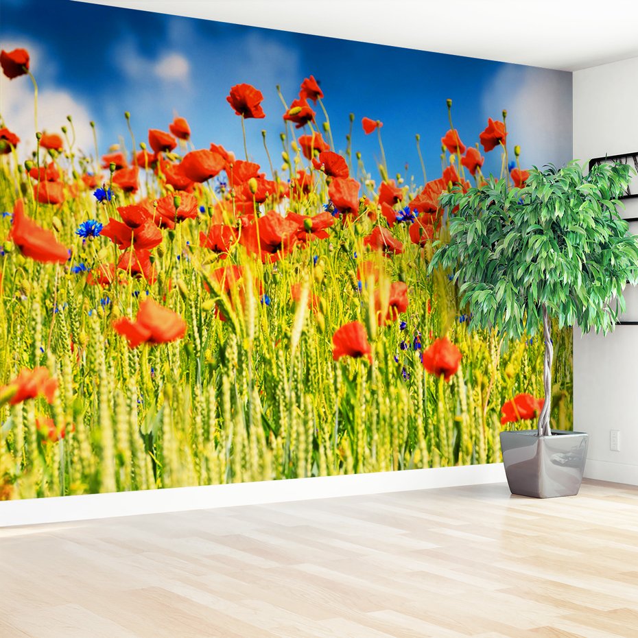 Fototapeta - maki, lato, kwiaty