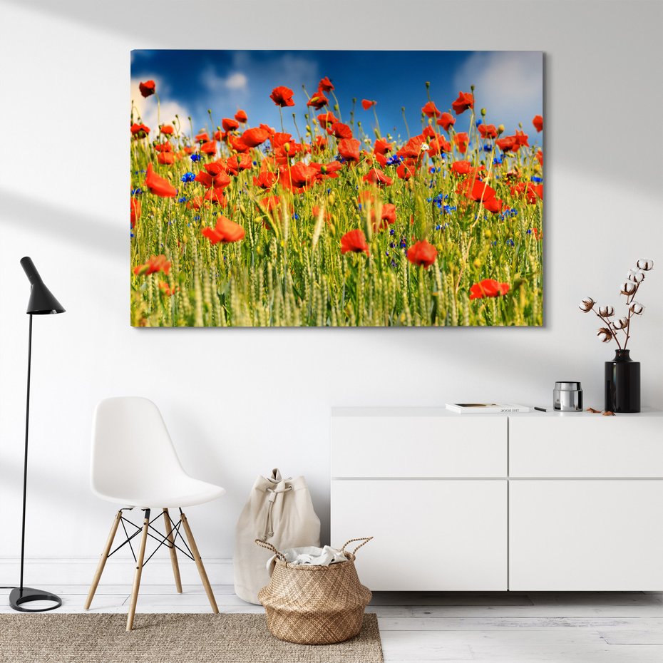 Obraz na płótnie - maki, kwiaty, lato