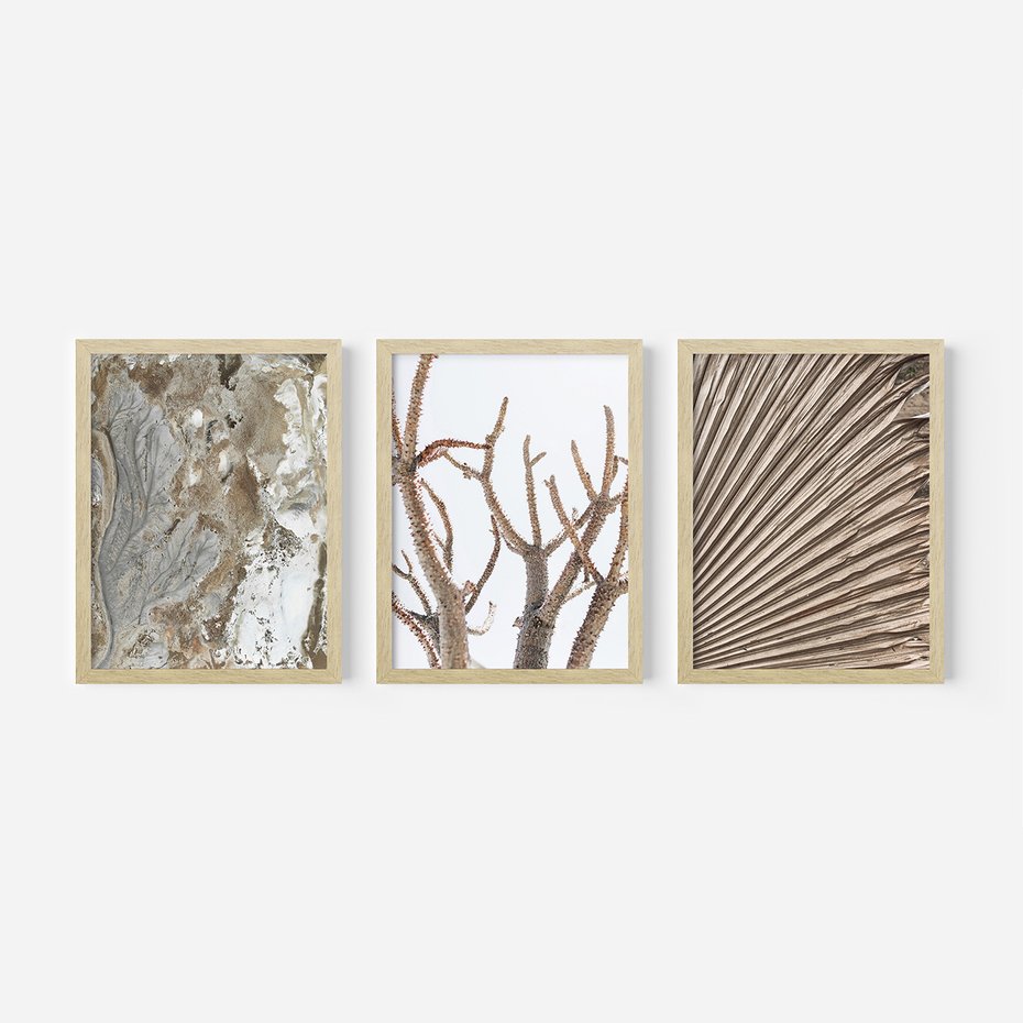 Zestaw obrazy w ramie, plakaty - abstrakcja, roślina, natura - rama drewno