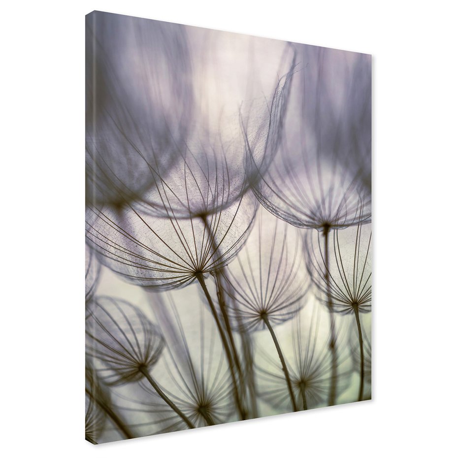 Obraz na płótnie - dmuchawce, abstrakcja, natura