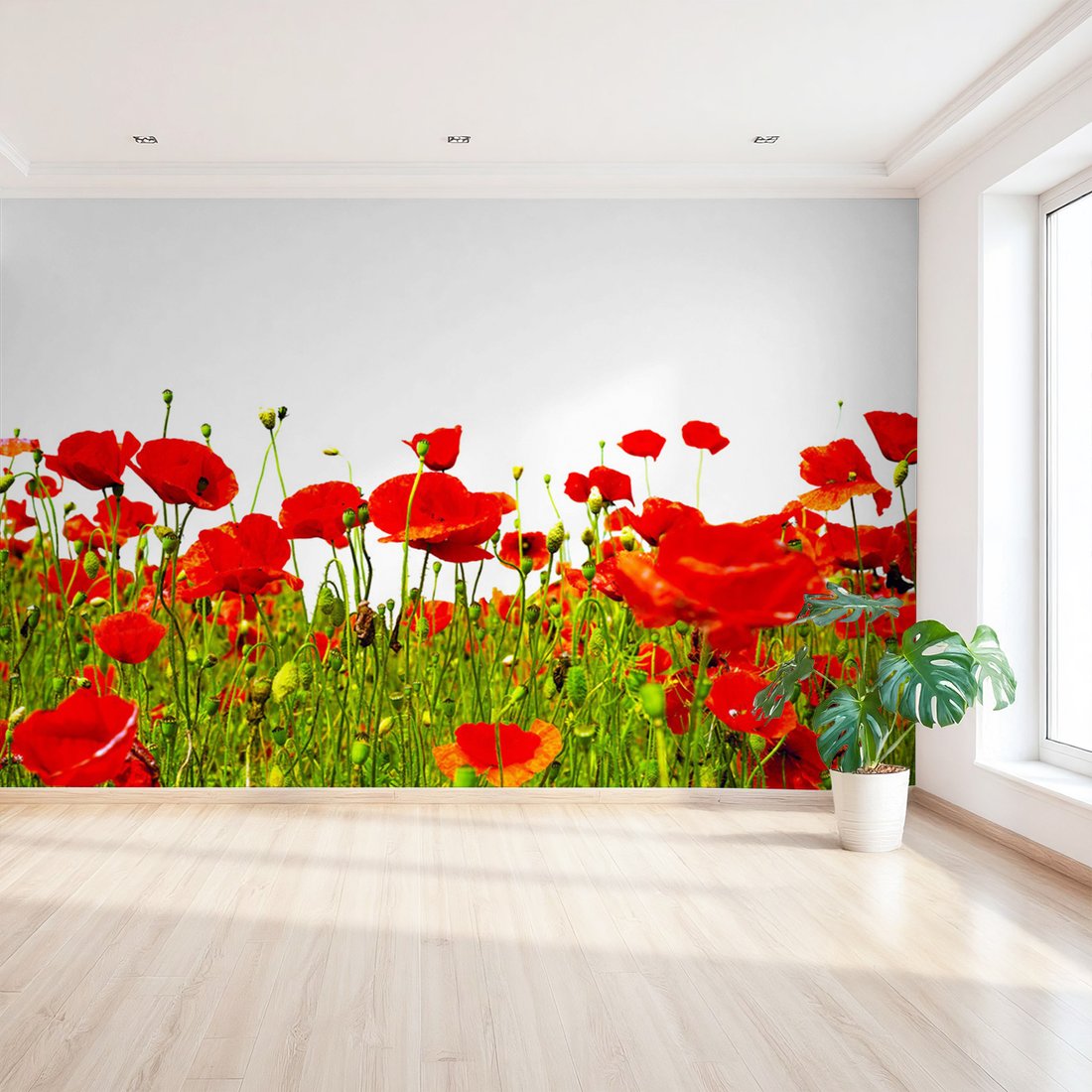 Fototapeta - maki, kwiaty, natura