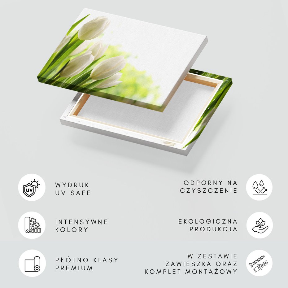 Obraz na płótnie - tulipany, kwiaty, wiosna