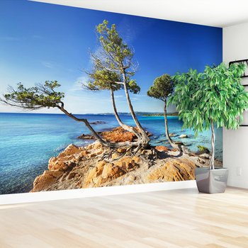 Fototapeta - plaża, morze, drzewa