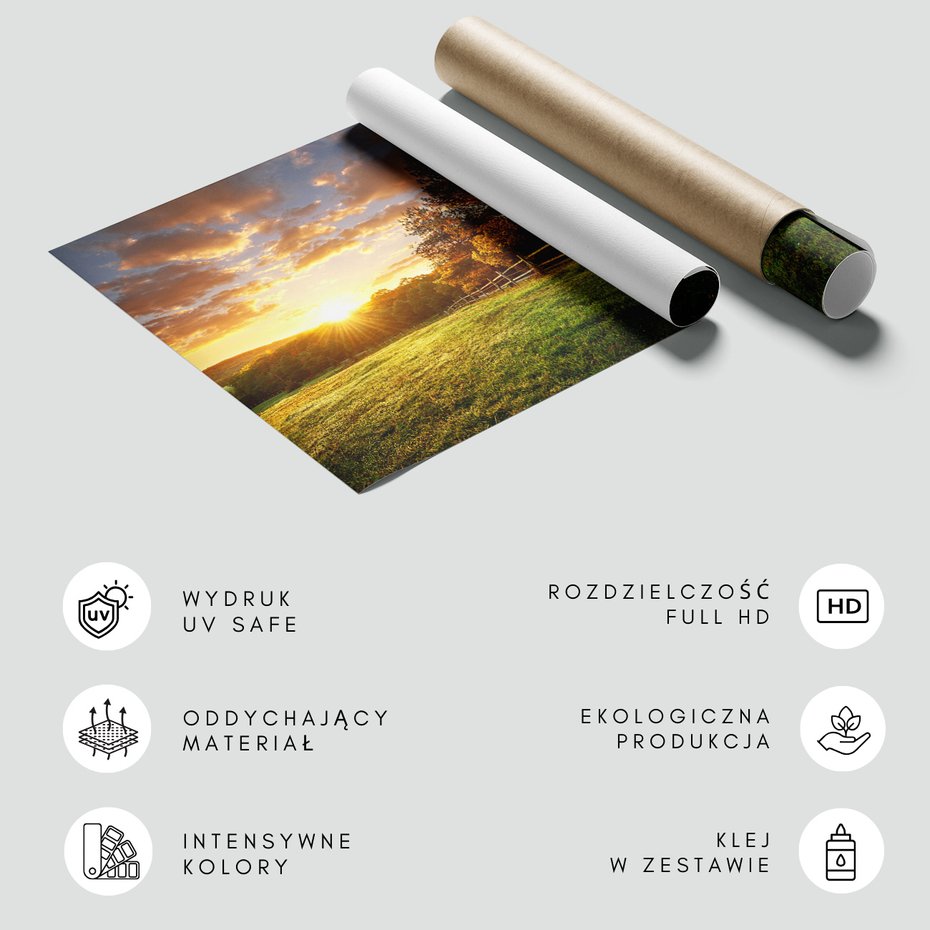 Fototapeta - zachód słońca, krajobraz, drzewa