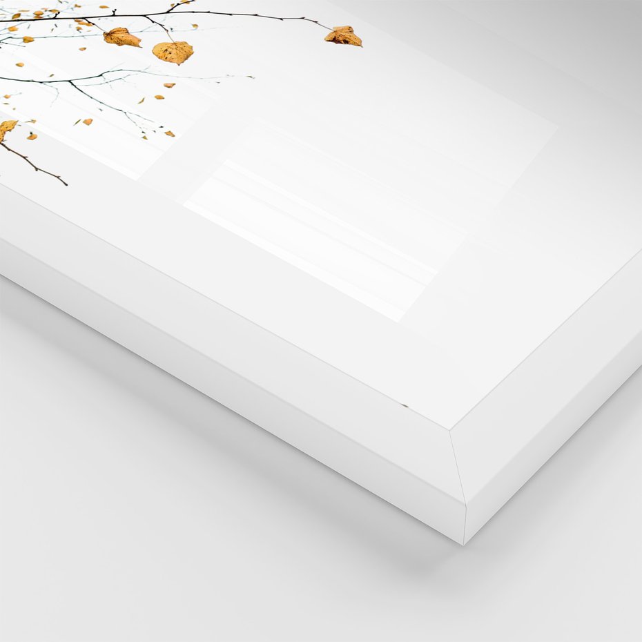 Zestaw obrazy w ramie, plakaty - liście, jesień, gałęzie - rama biała