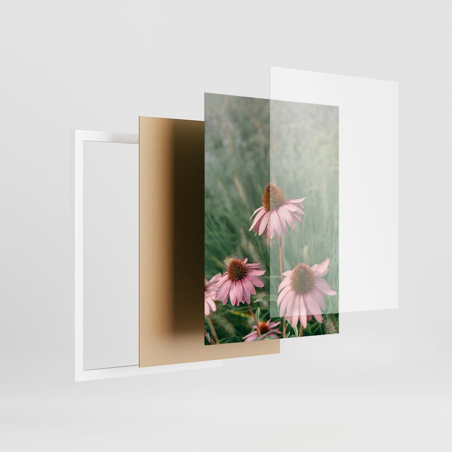 Zestaw obrazy w ramie, plakaty - kwiaty, trawa, rośliny - rama biała