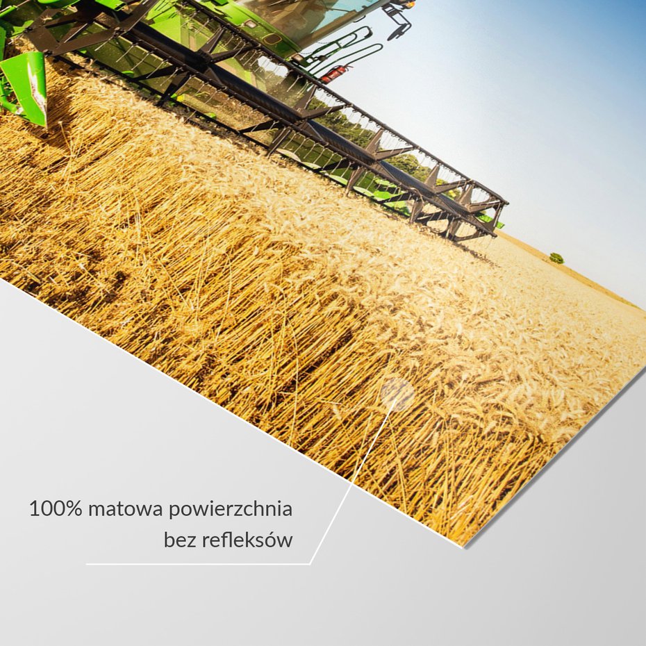 Fototapeta - żniwa, kombajn, pole