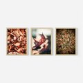 Zestaw obrazy w ramie, plakaty - liście,jesień,drzewa - rama drewno
