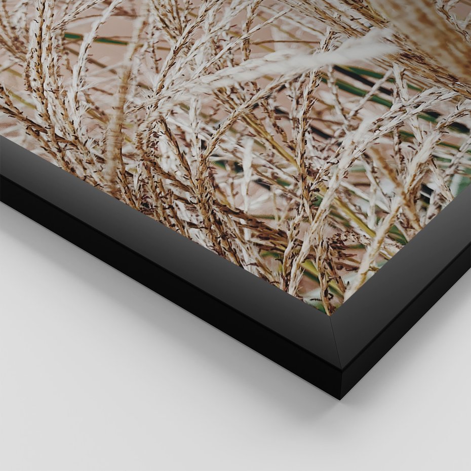 Zestaw obrazy w ramie, plakaty - roślina, beżowy, dekoracja - rama czarna