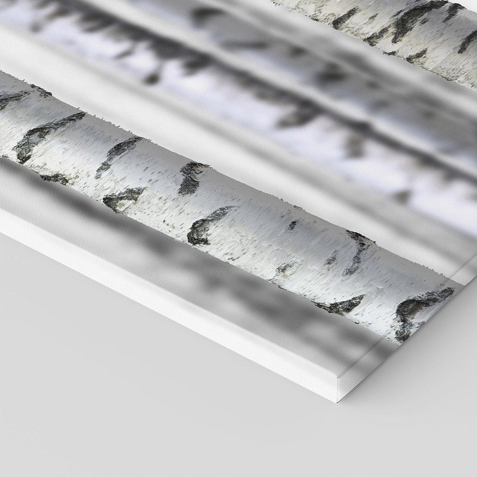 Obraz na płótnie - brzoza, drzewa, las