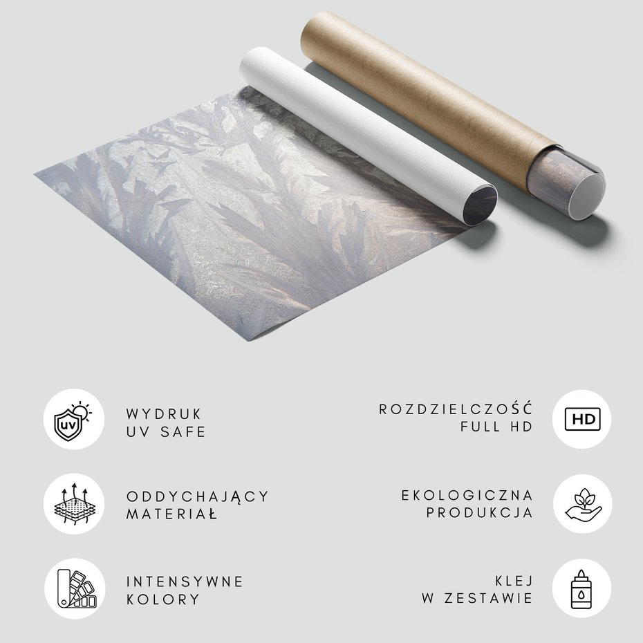 Fototapeta - loft, liście, szron