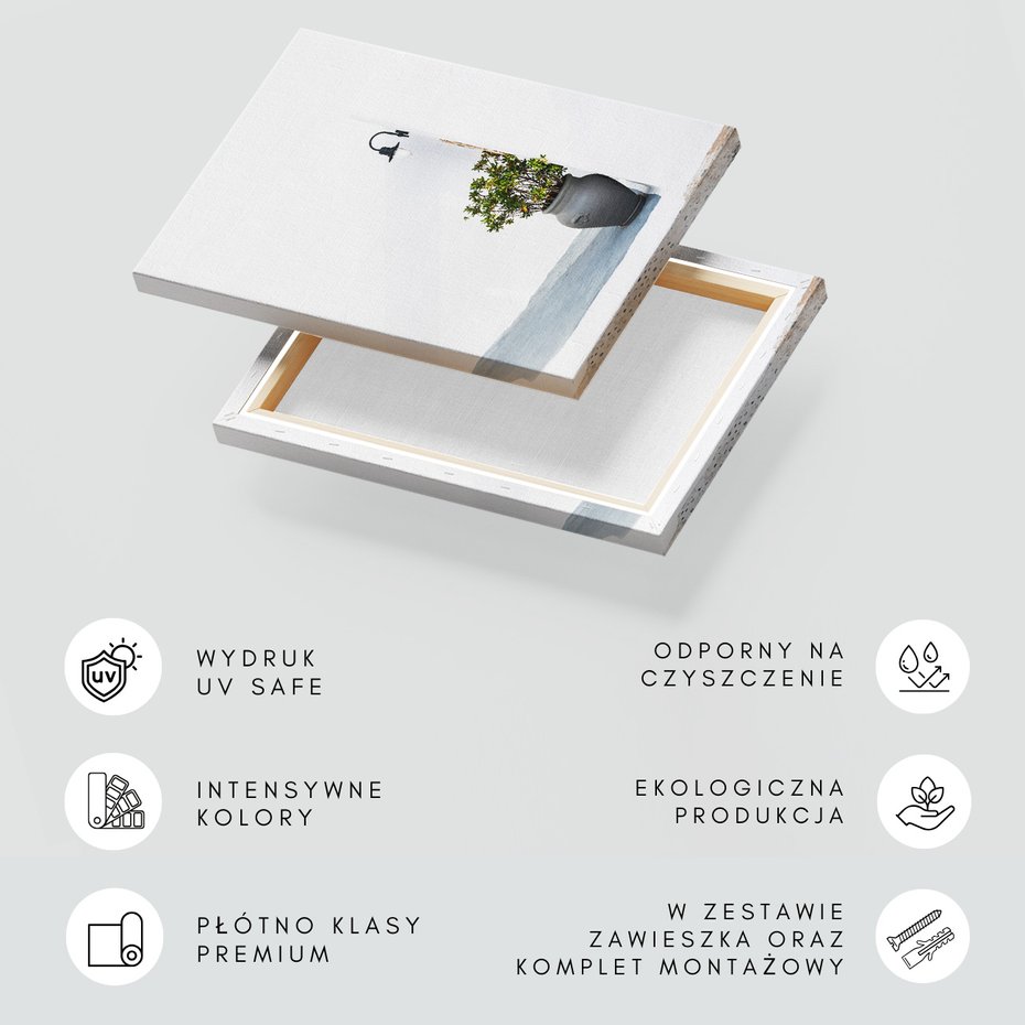 Obraz na płótnie - ściana, roślina, donica