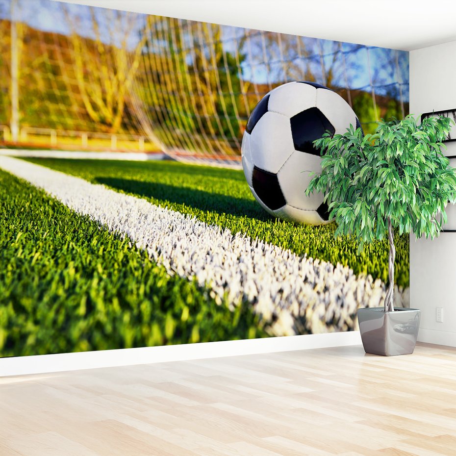 Fototapeta - piłka, boisko, sport