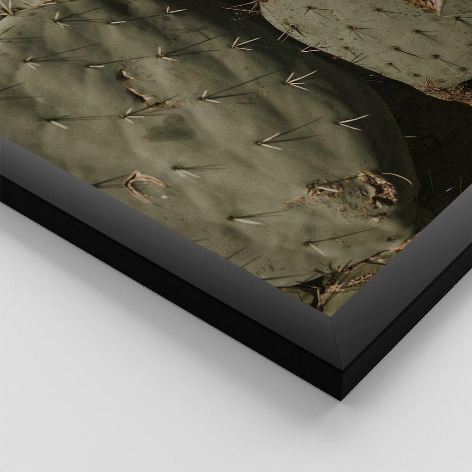 Zestaw obrazy w ramie, plakaty - kaktusy, rośliny, zielony - rama czarna