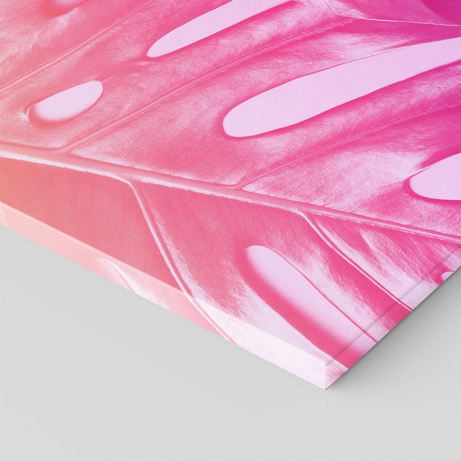 Obraz na płótnie - monstera, liście, gradient