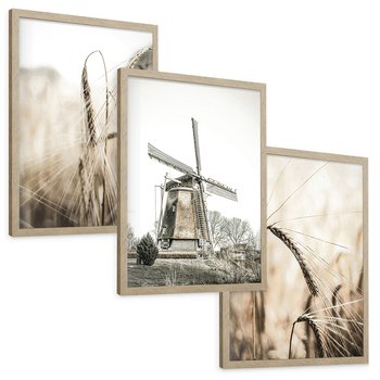Zestaw obrazy w ramie, plakaty - pole, wieś, żniwa - rama drewno