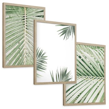 Zestaw obrazy w ramie, plakaty - liście, palmy, tropikalne - rama drewno