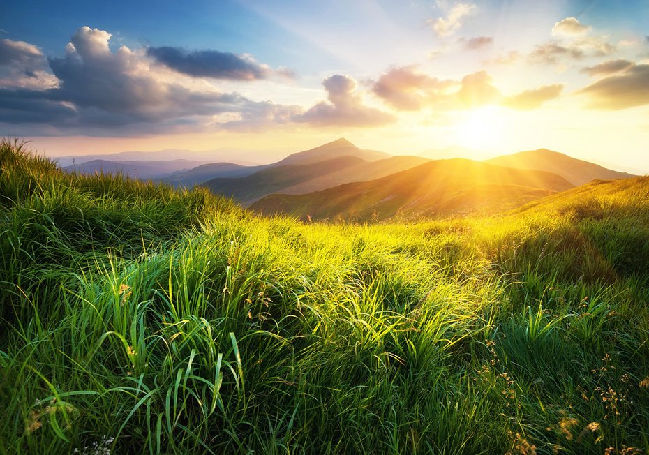 Fototapeta - góry, trawa, słońce