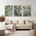 Zestaw obrazy w ramie, plakaty - liście palmowe, rośliny, natura - rama drewno