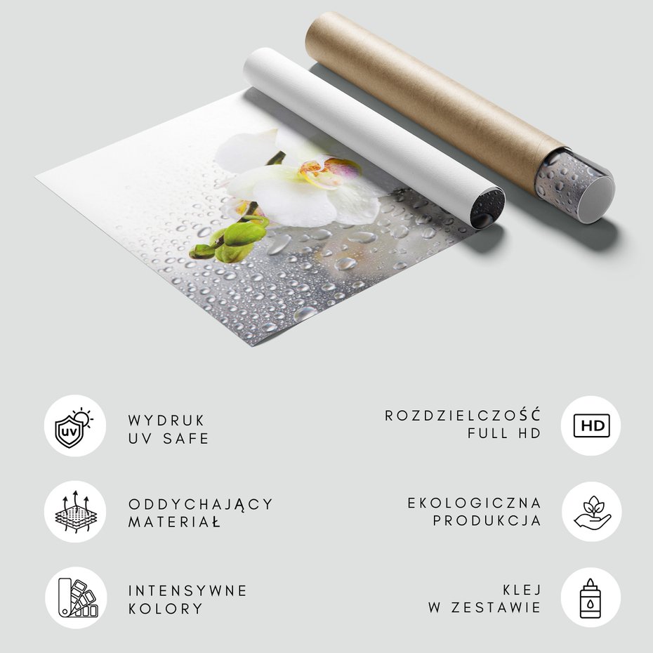 Fototapeta - kwiaty, orchidee, krople