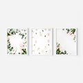 Zestaw obrazy w ramie, plakaty - kwiaty, liście, eukaliptus - rama biała