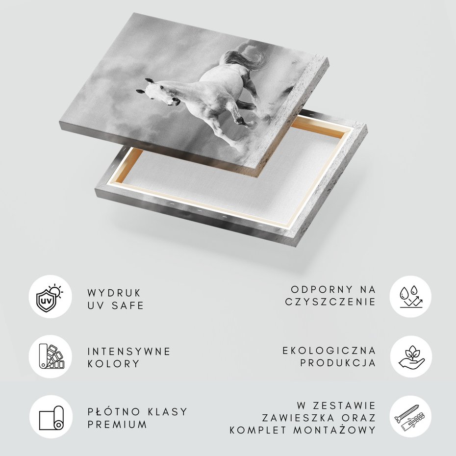 Obraz na płótnie - koń, zwierzę, galop