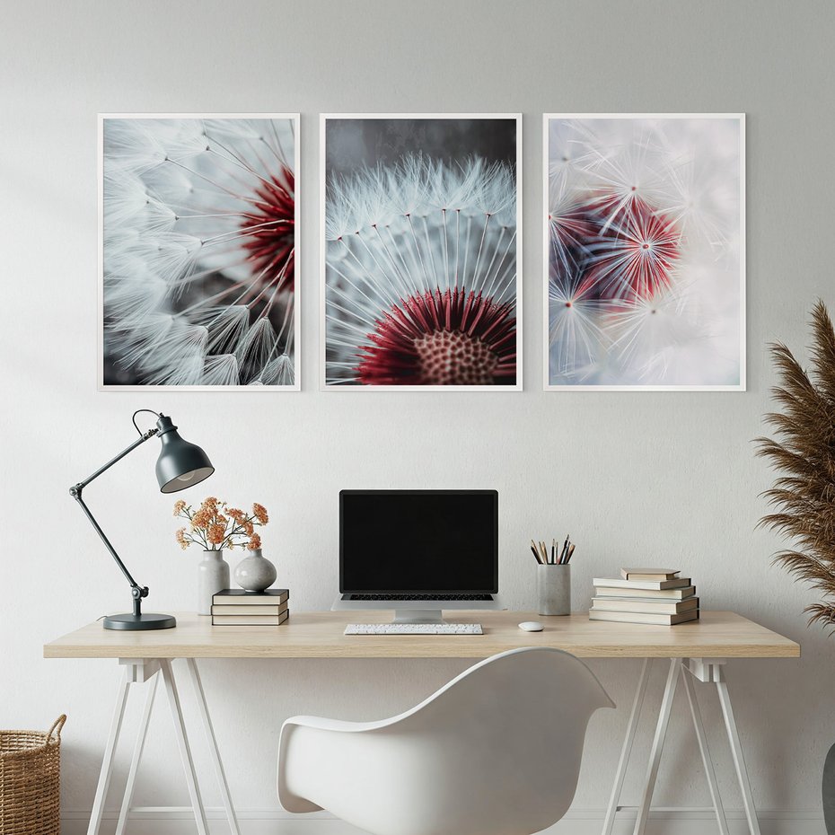 Zestaw obrazy w ramie, plakaty - dmuchawiec, natura, makro - rama biała