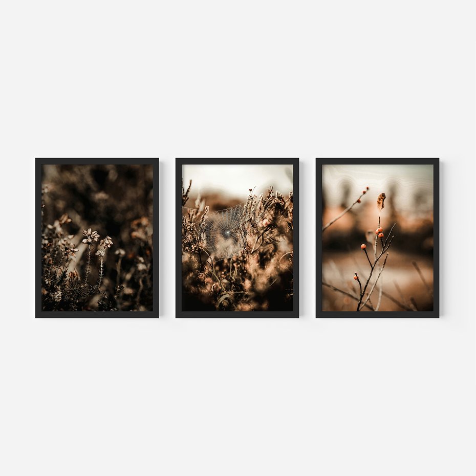 Zestaw obrazy w ramie, plakaty - przyroda, rośliny, natura - rama czarna