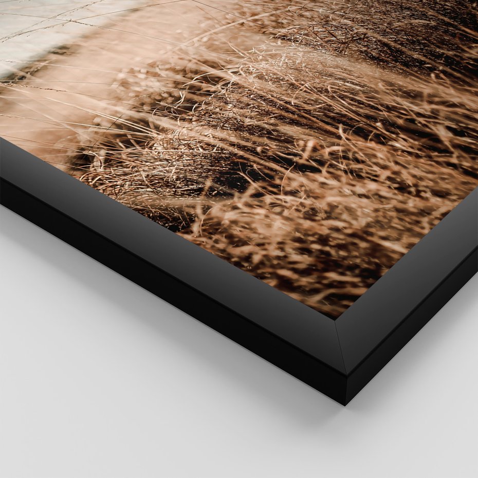 Zestaw obrazy w ramie, plakaty - przyroda, krajobraz, wydma - rama czarna