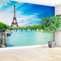Fototapeta - Paryż, Wieża Eiffla, sekwana