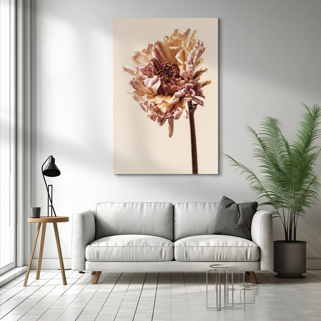 Obraz na płótnie - kwiat, uschnięty, roślina