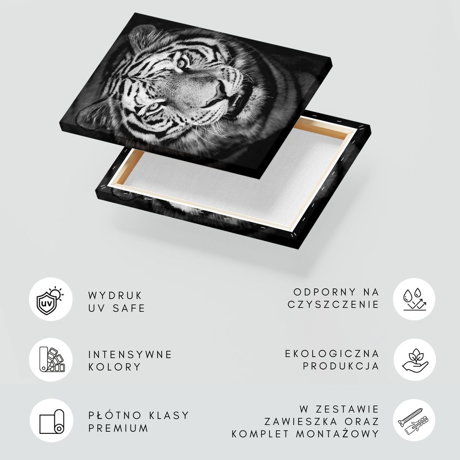 Obraz na płótnie - tygrys, zwierzę, drapieżnik