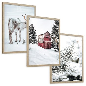 Zestaw obrazy w ramie, plakaty - renifer, śnieg, zima - rama drewno
