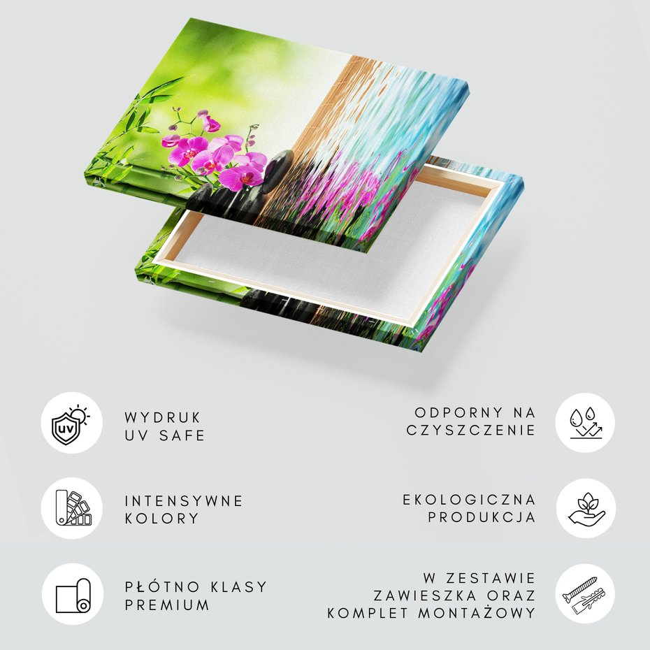 Obraz na płótnie - kwiaty, orchidee, kamienie