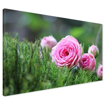 Obraz na płótnie - róże, kwiaty, natura