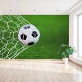 Fototapeta - piłka, siatka, gol