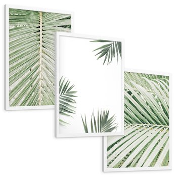 Zestaw obrazy w ramie, plakaty - liście, palmy, tropikalne - rama biała